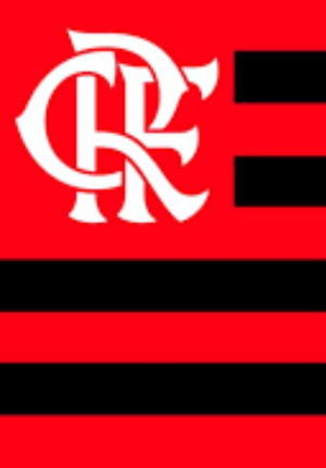 Capa do livro Uma Nação Chamada Flamengo